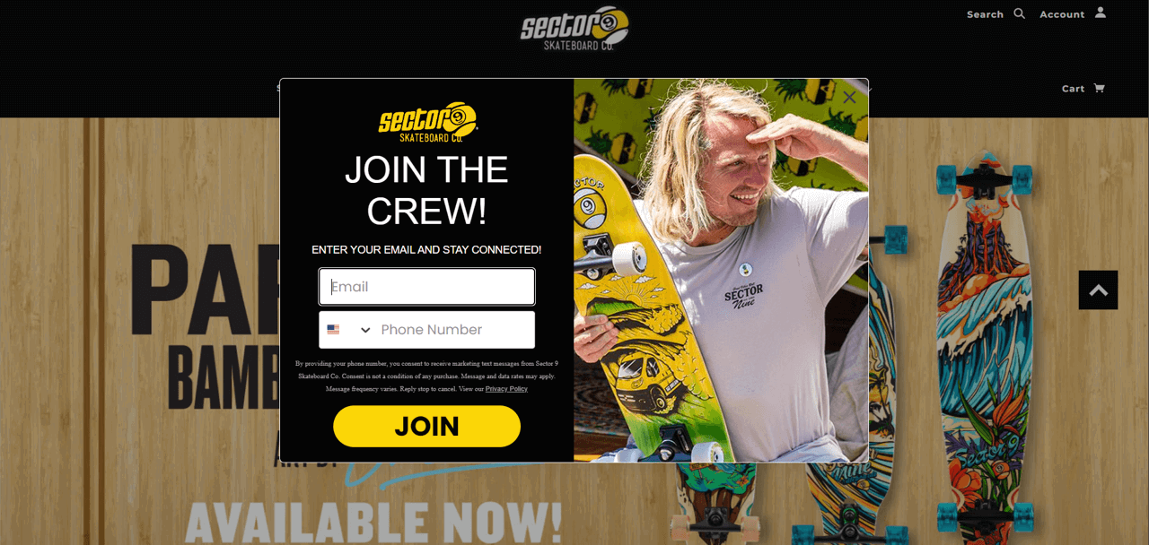 13 Popup Design Ideas with Ready-to-Use Templates
