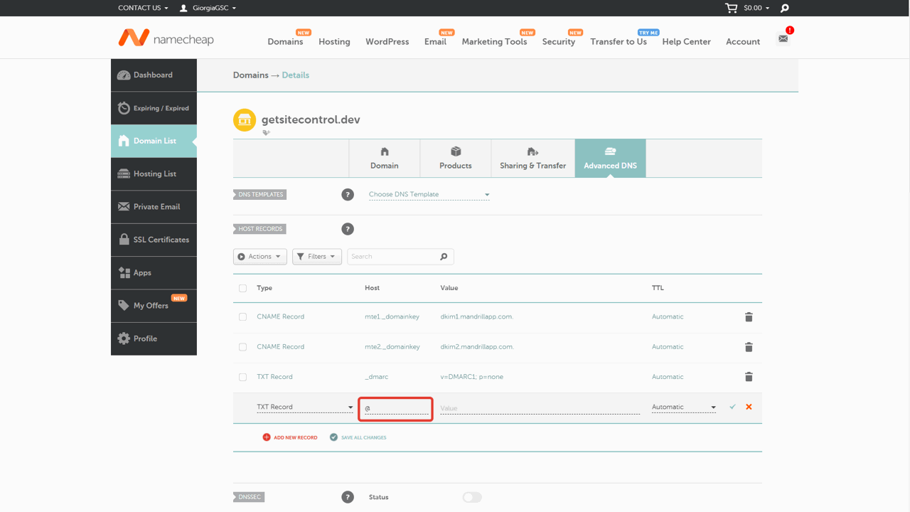 Pasting the SPF record Name into the Host field