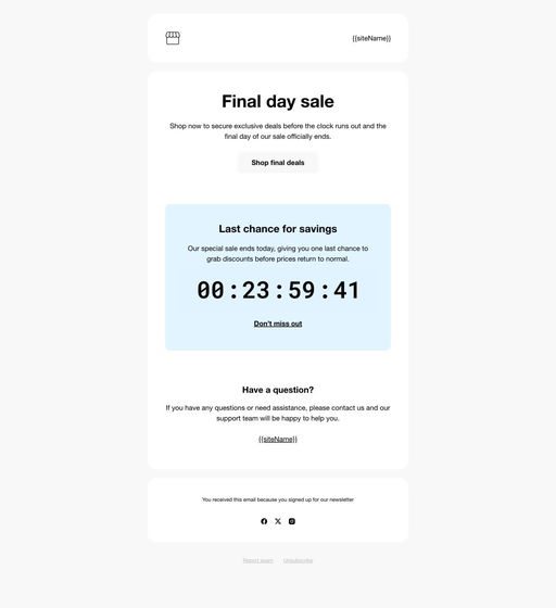 Email example. Template. Final day sale