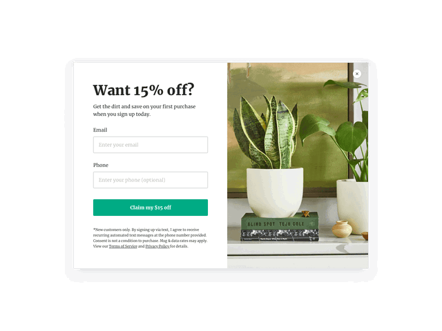 Pop-up email opt-in form with an assertive signup button CTA