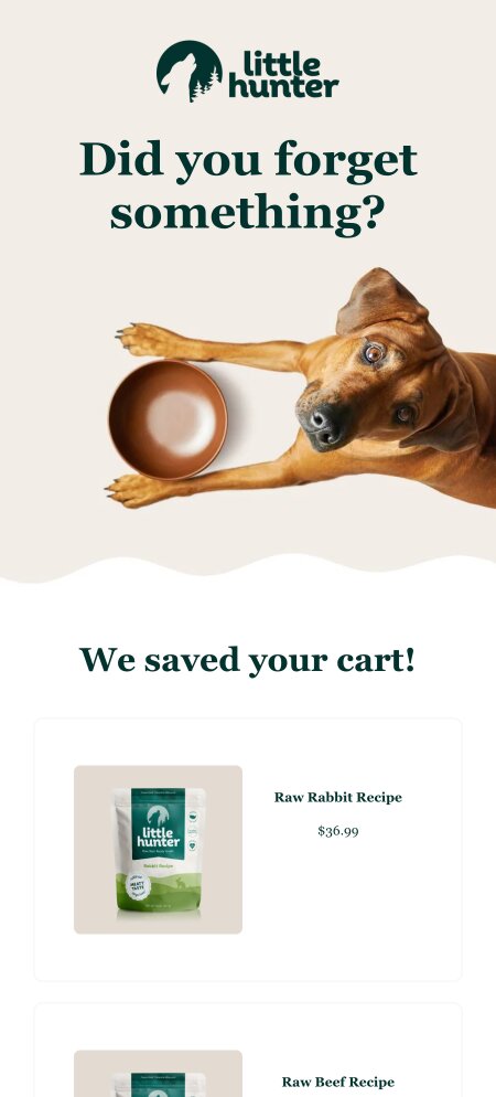 Email example. Little Hunter