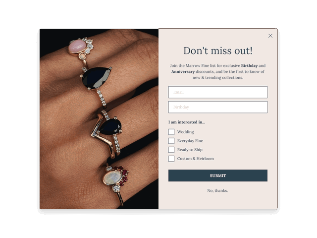 Newsletter signup form template including preference checkboxes