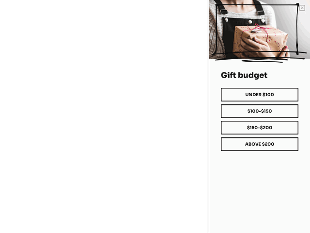 Product price filter helps store visitors navigate and make a purchase decision faster