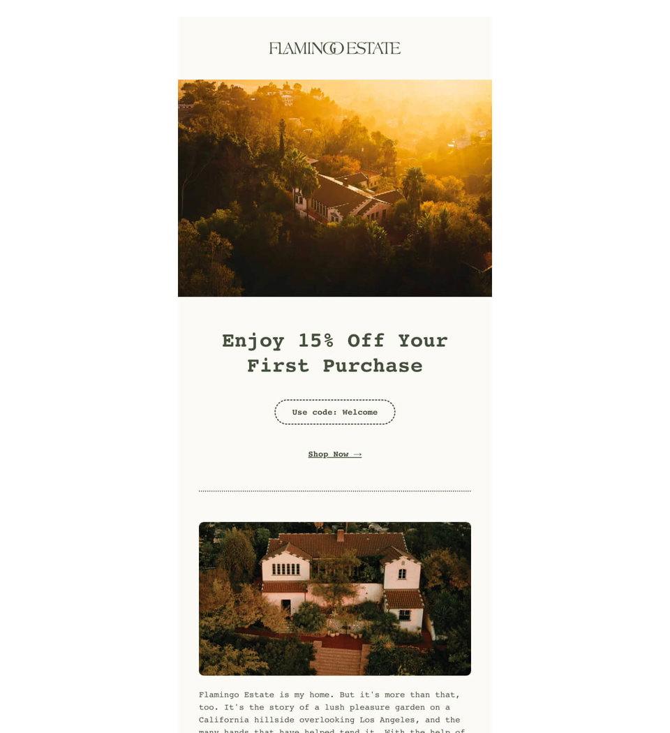 Email example. Flamingo Estate