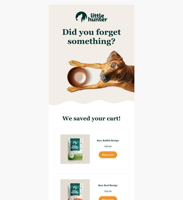Cart abandonment email template by Getsitecontrol