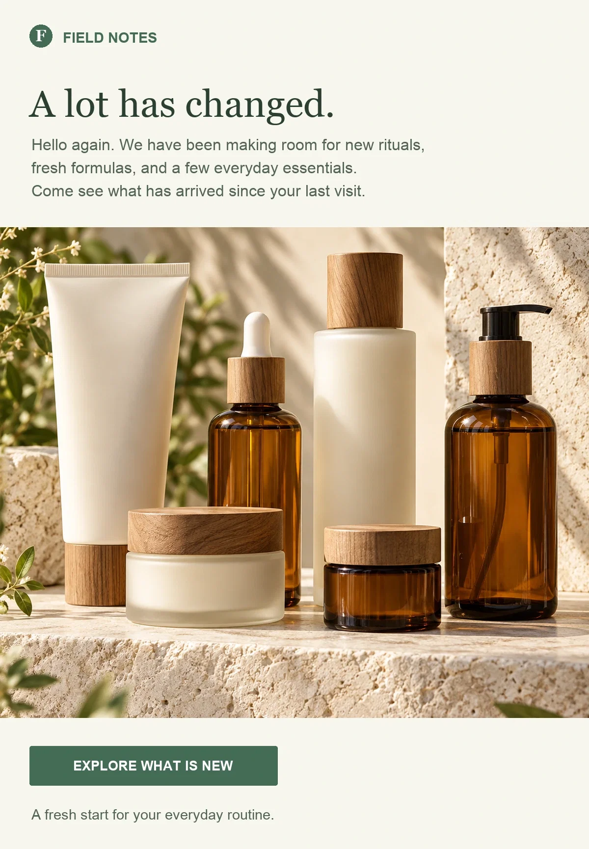 Illustrative re-engagement email showing a new botanical skincare collection