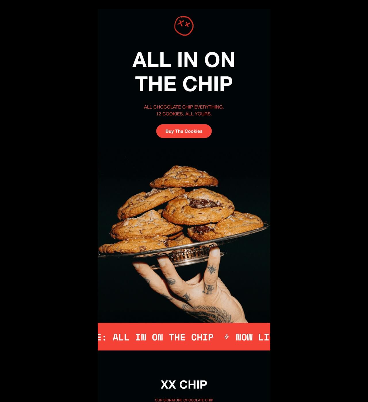 XX CHIP